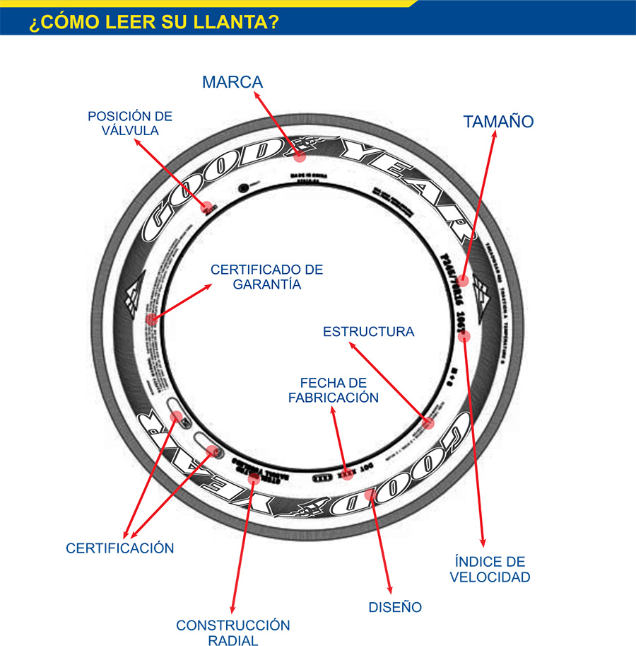 como-leer-su-llanta.jpg